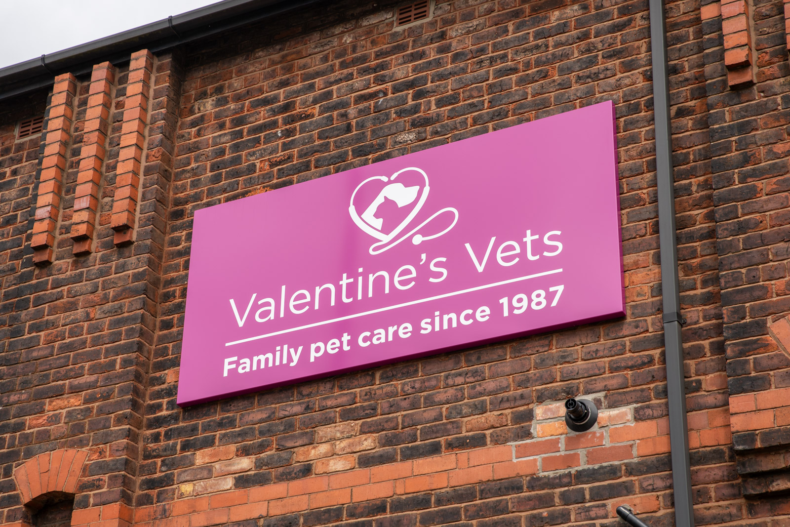 Valentine's Vets (Web) 023